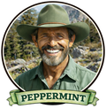 P.K. Jack's SHINE All-Natural Toothpaste -- Peppermint